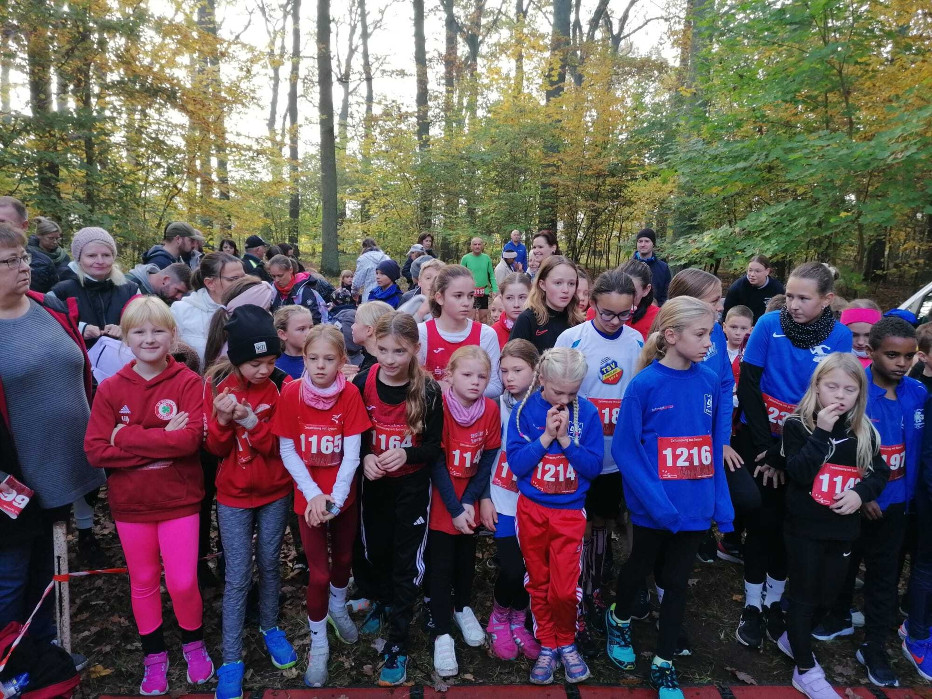 Foto der Galerie: Leichtathletik Oktober - Dezember 2024
