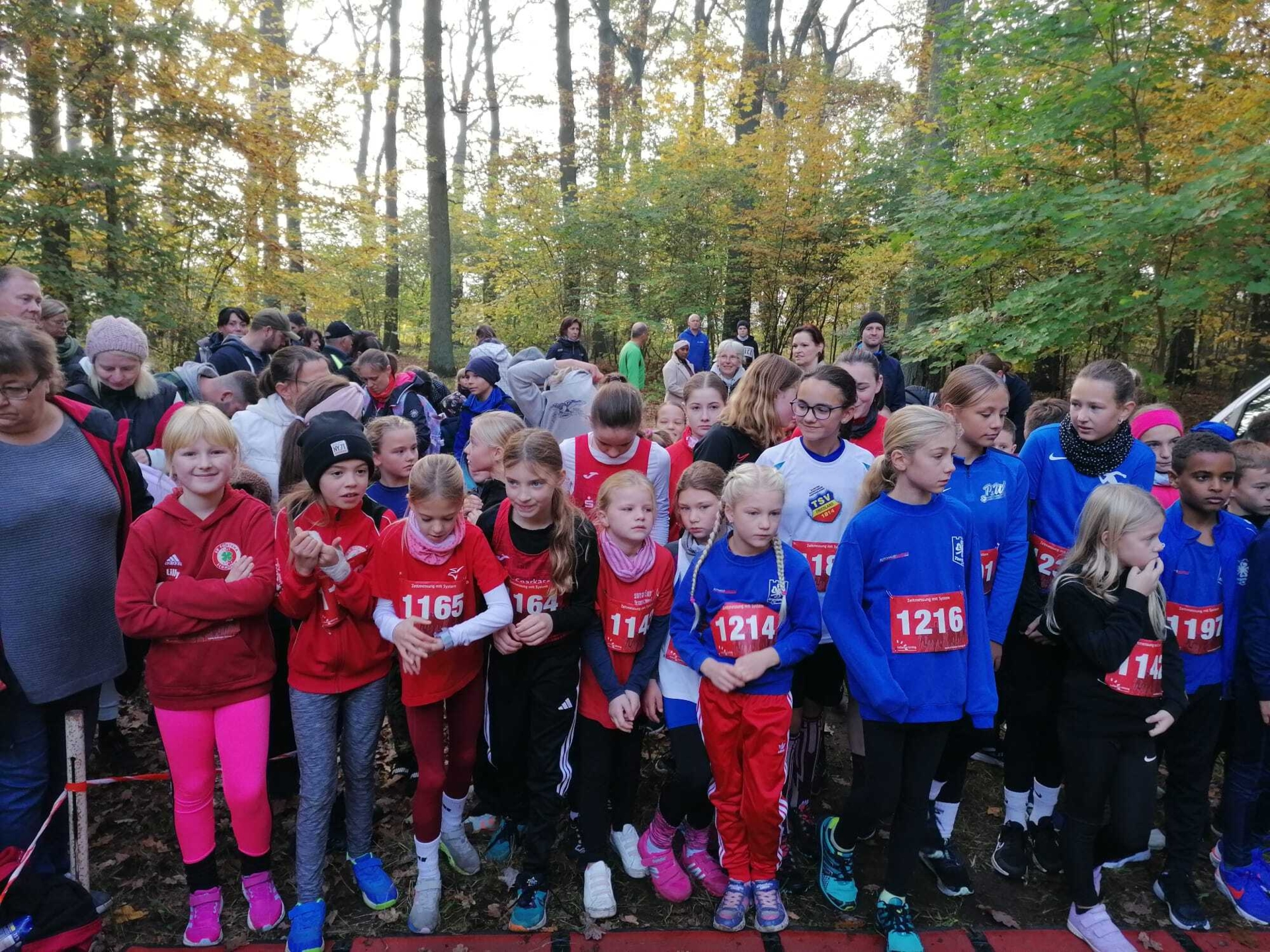 Foto der Galerie: Leichtathletik Oktober - Dezember 2024
