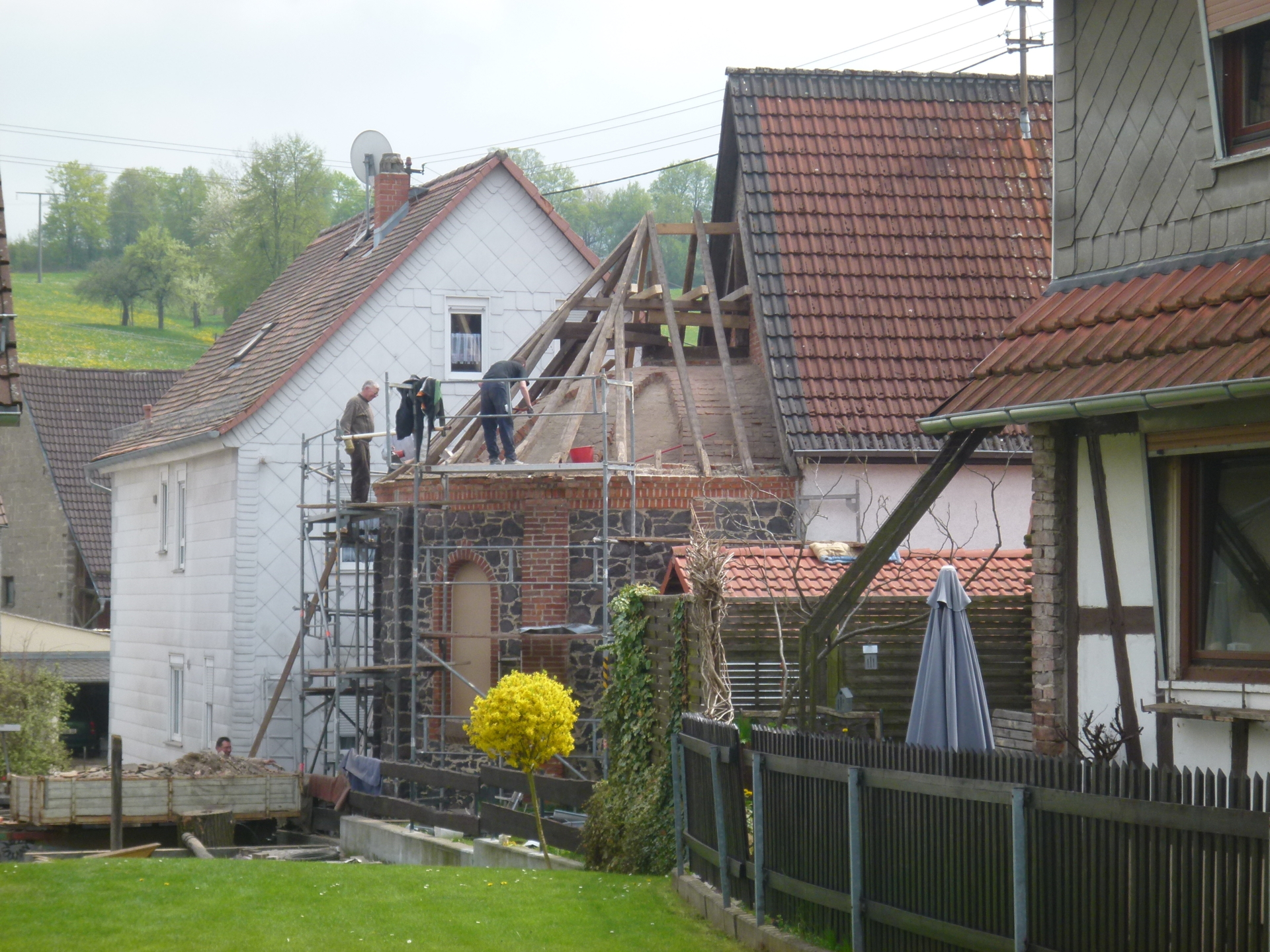 Bild der Galerie
