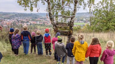 Vorschaubild der Galerie
