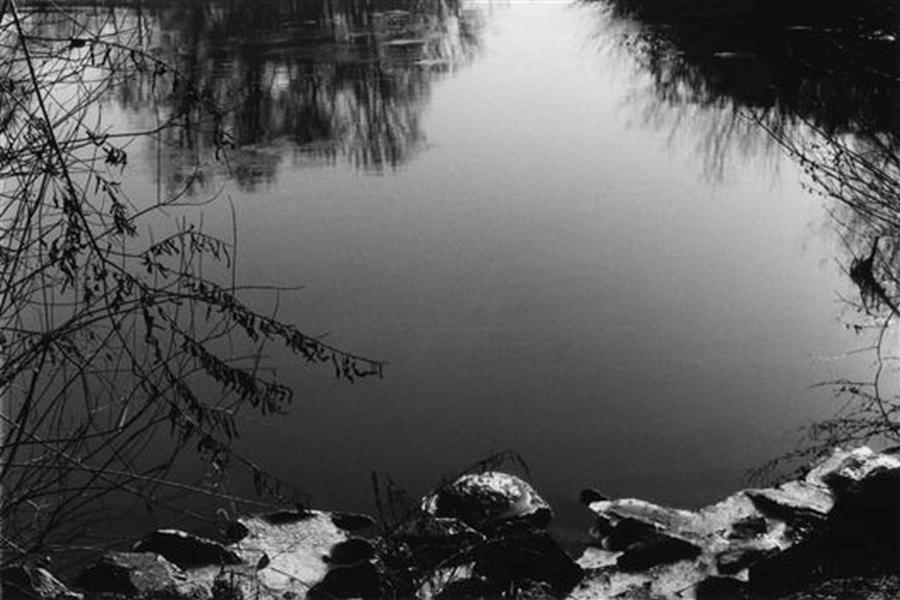 Foto der Galerie: Ein Tag am Fluss