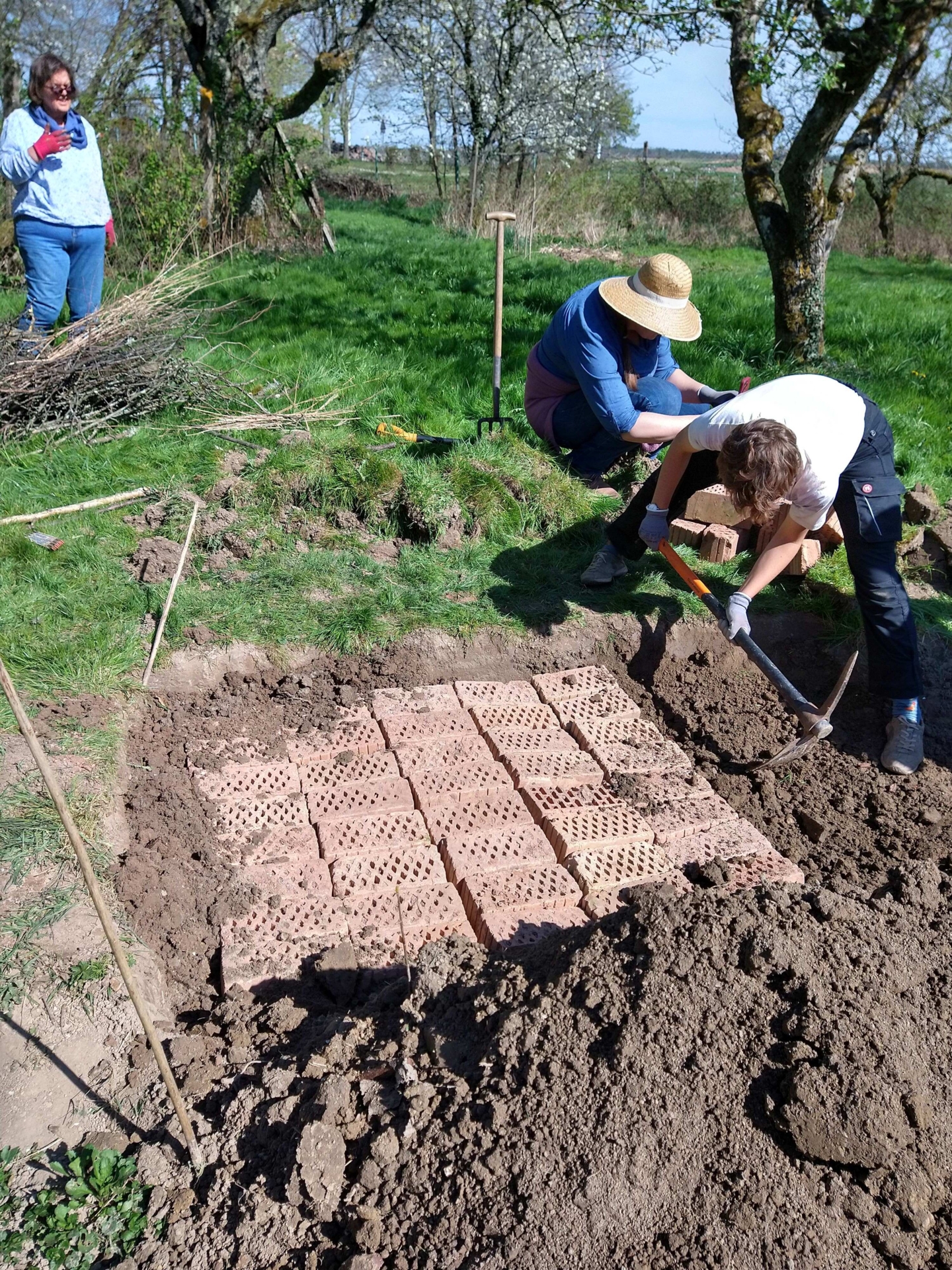 Bild: 2025-04-05 Hügelbeet 3