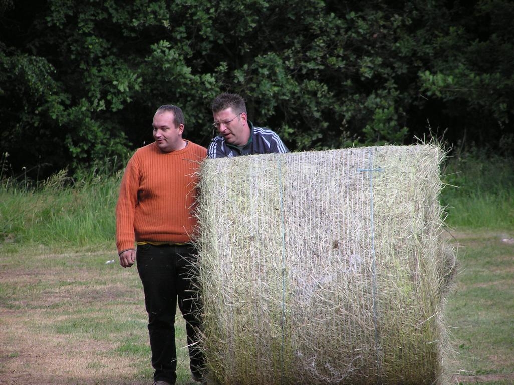 Foto der Galerie: Sportfest 2010