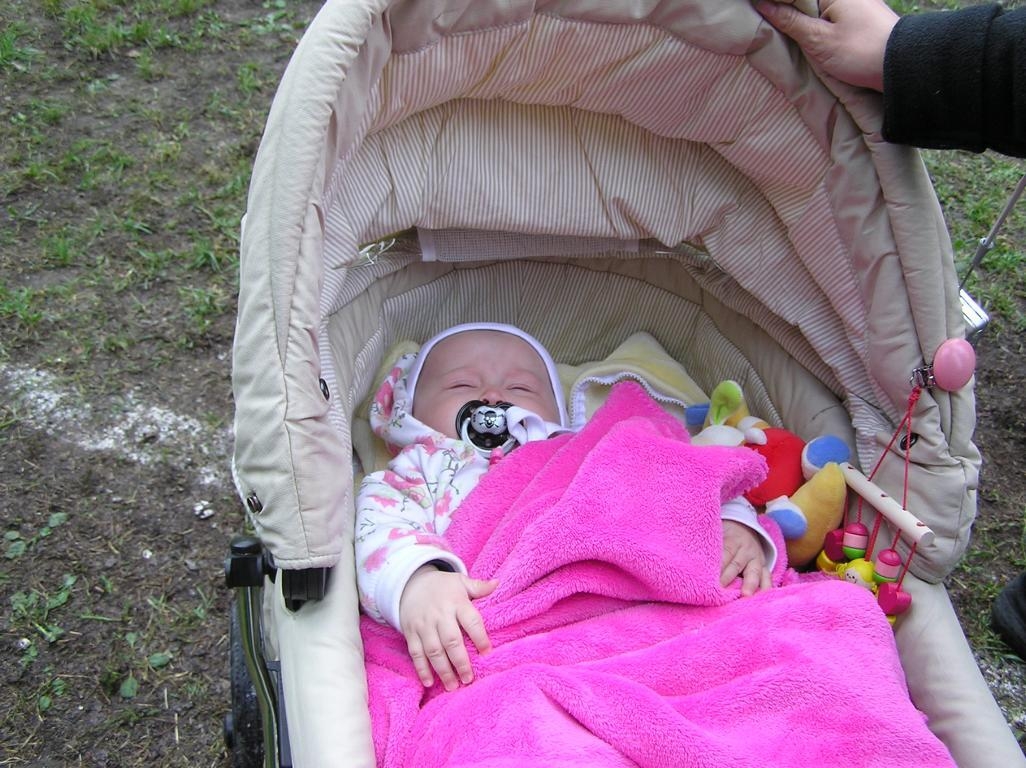 Foto der Galerie: Sportfest 2010