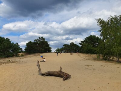 Vorschaubild: Naturschönheit
