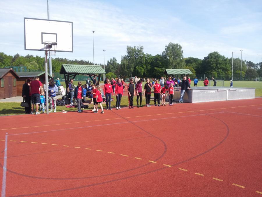 Foto der Galerie: Leichtathletik 2014 (Mai bis August)
