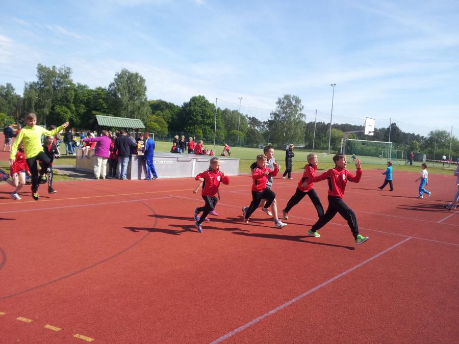 Foto der Galerie: Leichtathletik 2014 (Mai bis August)