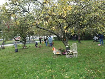 Vorschaubild der Galerie