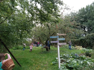 Vorschaubild der Galerie