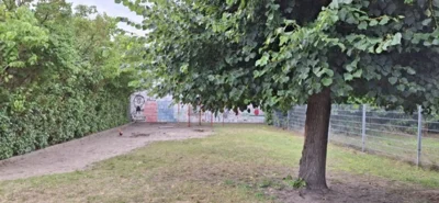 Vorschaubild: Fußballplatz