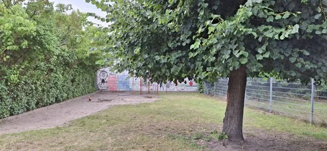 Bild: Fußballplatz