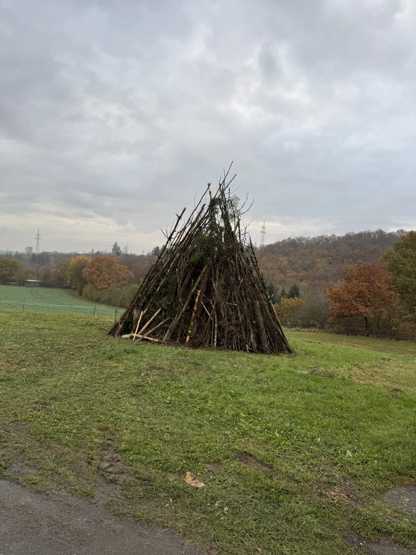 Feuerholz sammeln  (Bild vergr&ouml;&szlig;ern)