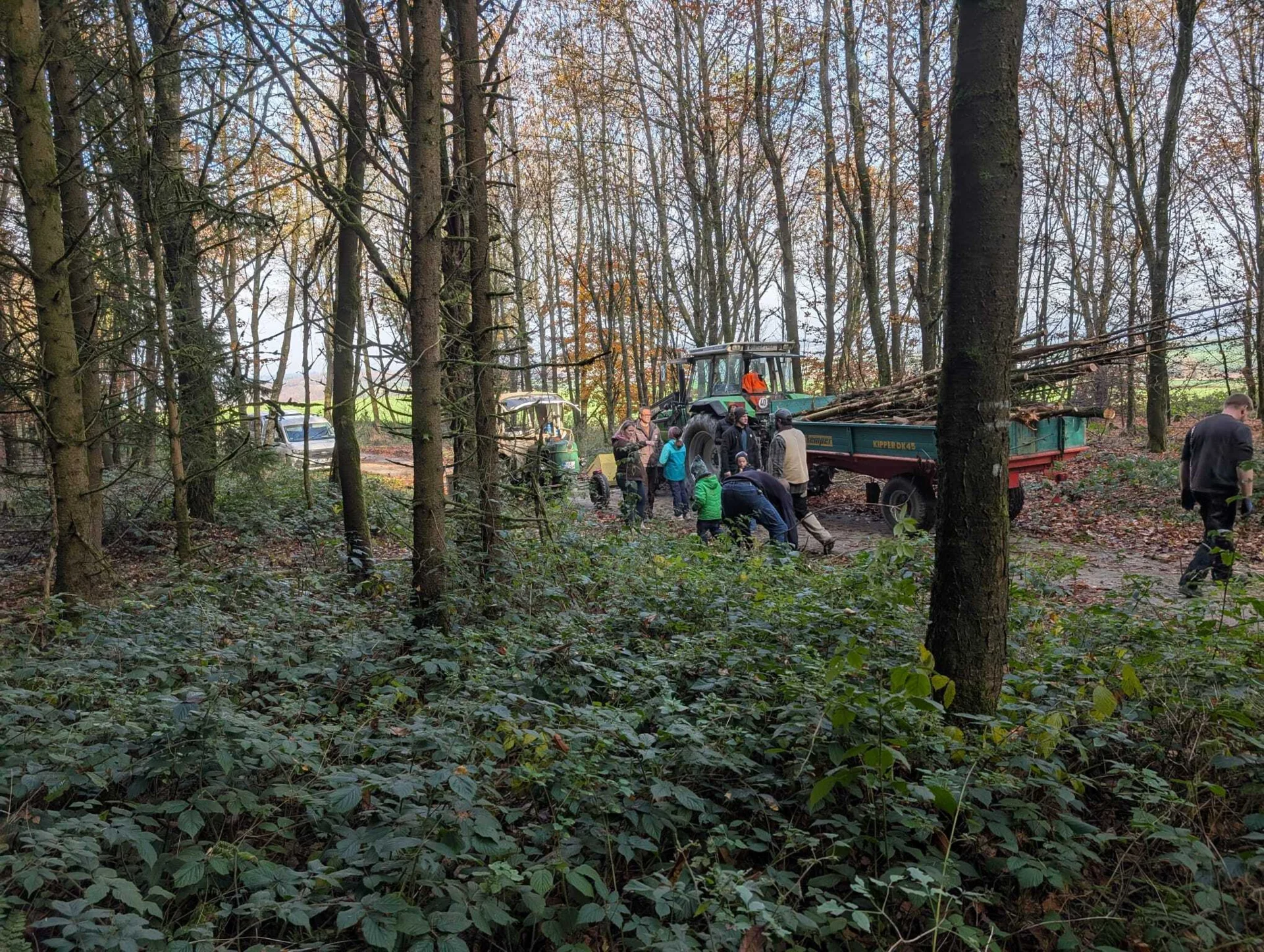Feuerholz sammeln  (Bild vergr&ouml;&szlig;ern)