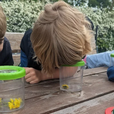 Vorschaubild: Beobachtung der Natur im Schulgarten