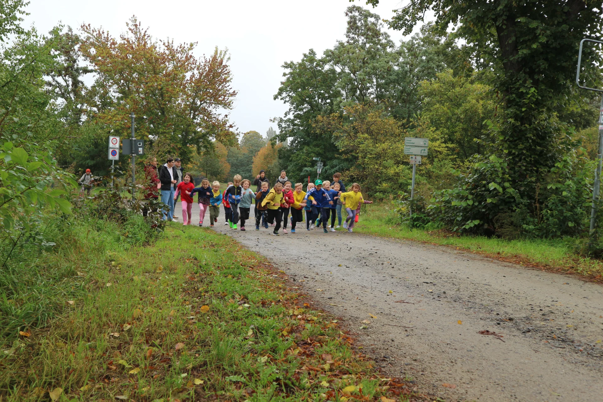 Bild: Herbstlauf