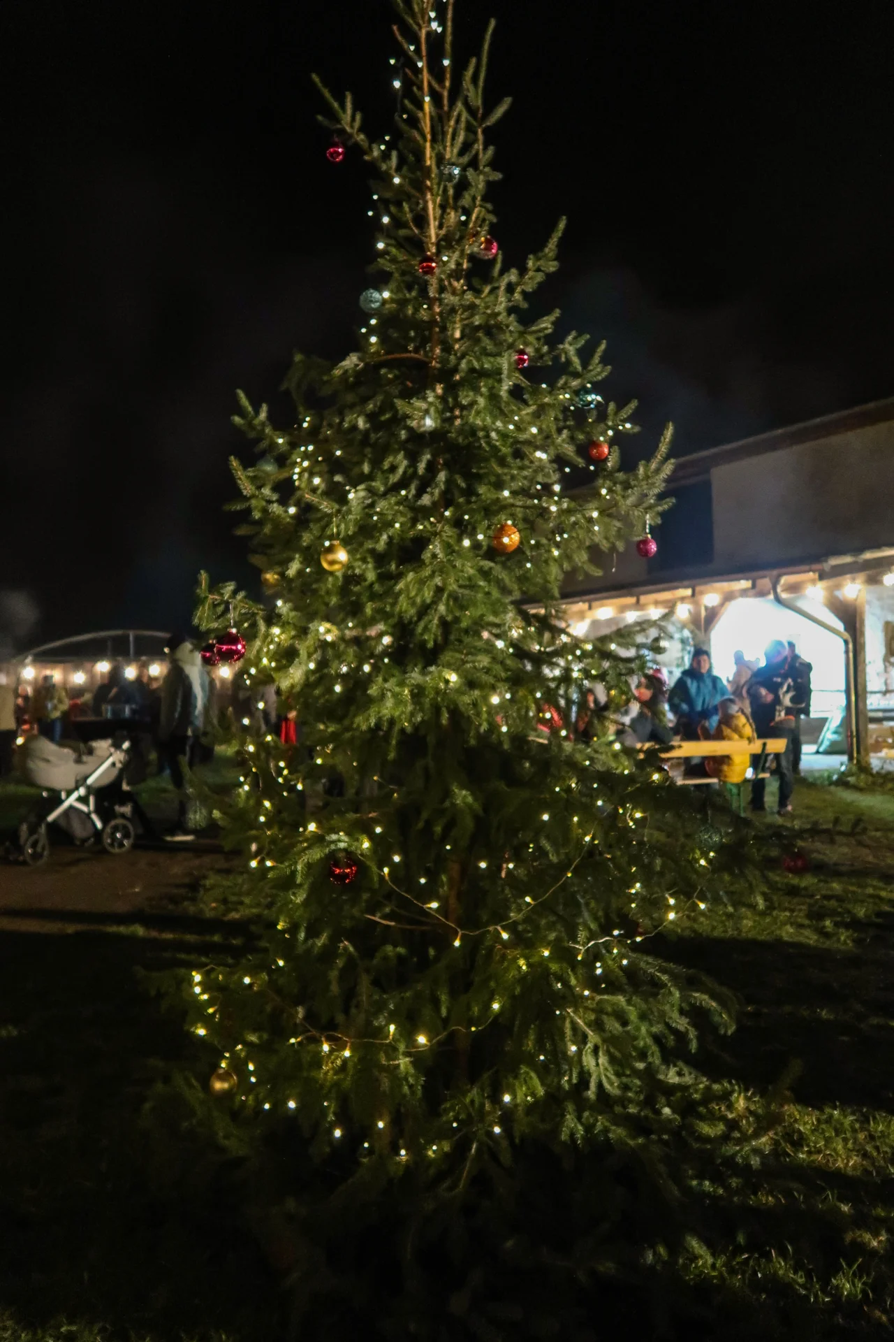 Foto der Galerie: Stallweihnacht
