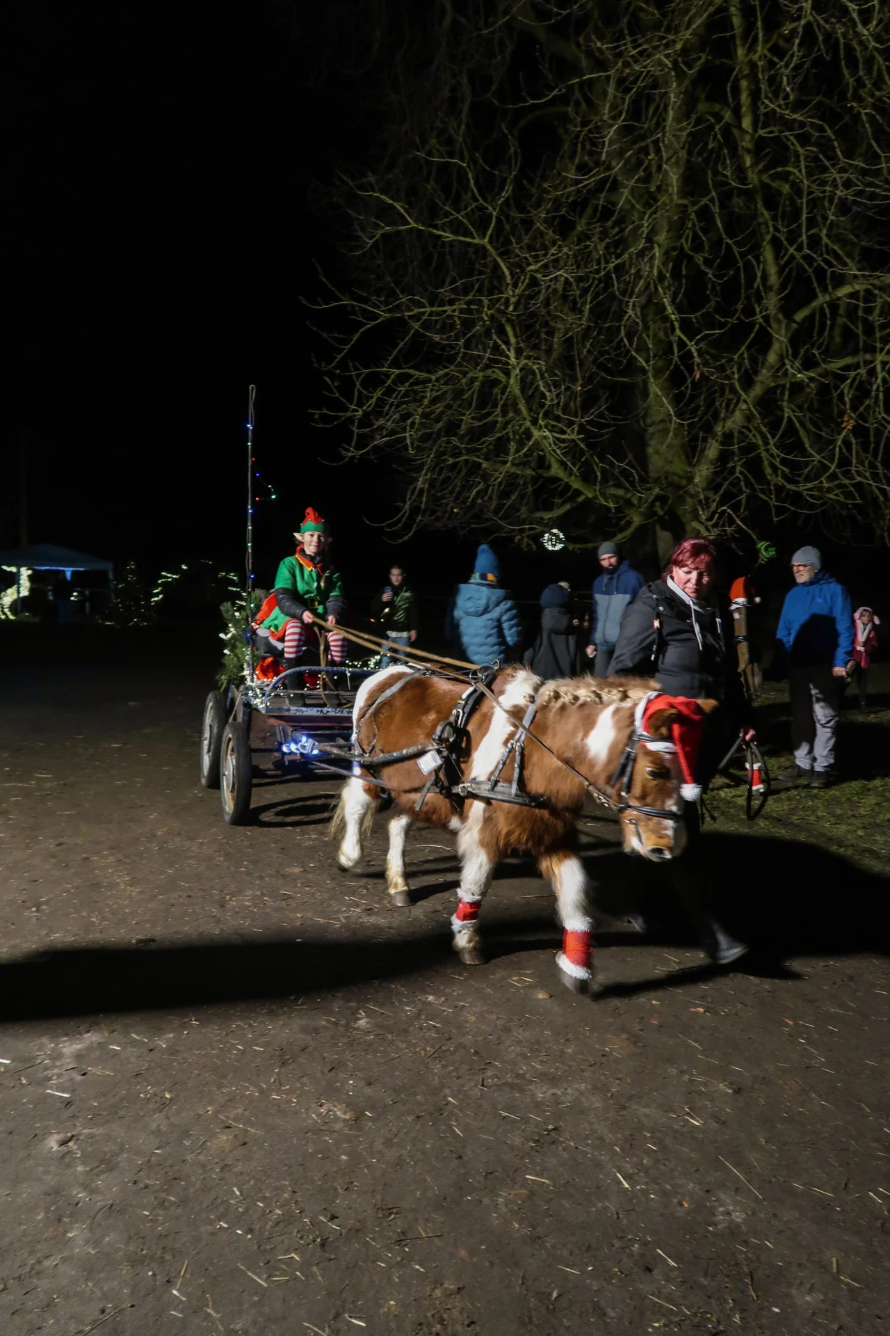 Foto der Galerie: Stallweihnacht