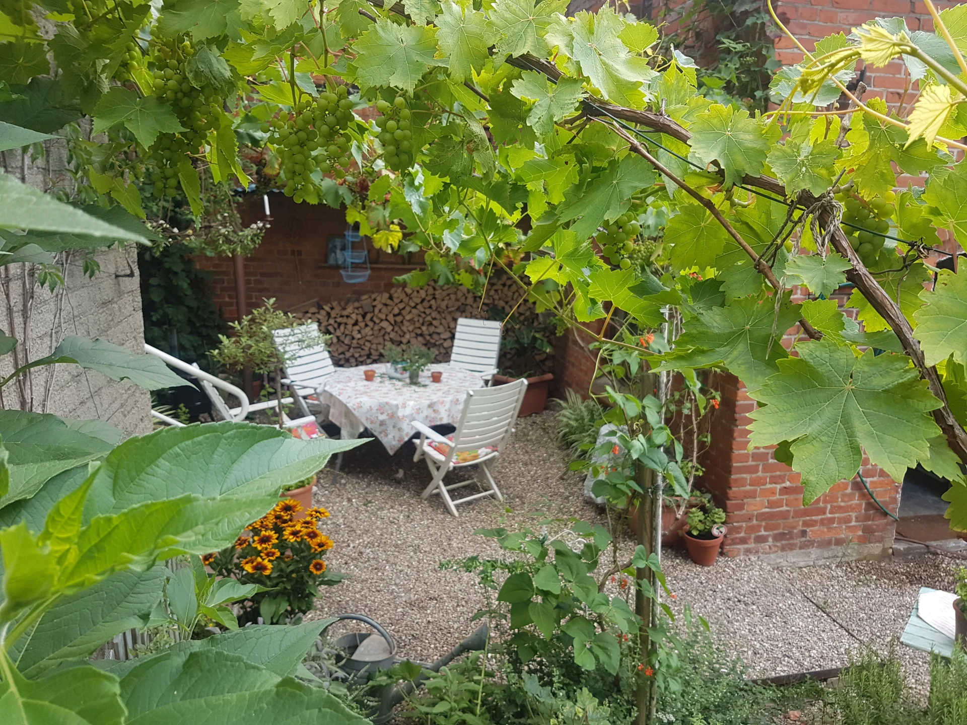 Foto der Galerie: Impressionen aus dem Chapeau vert