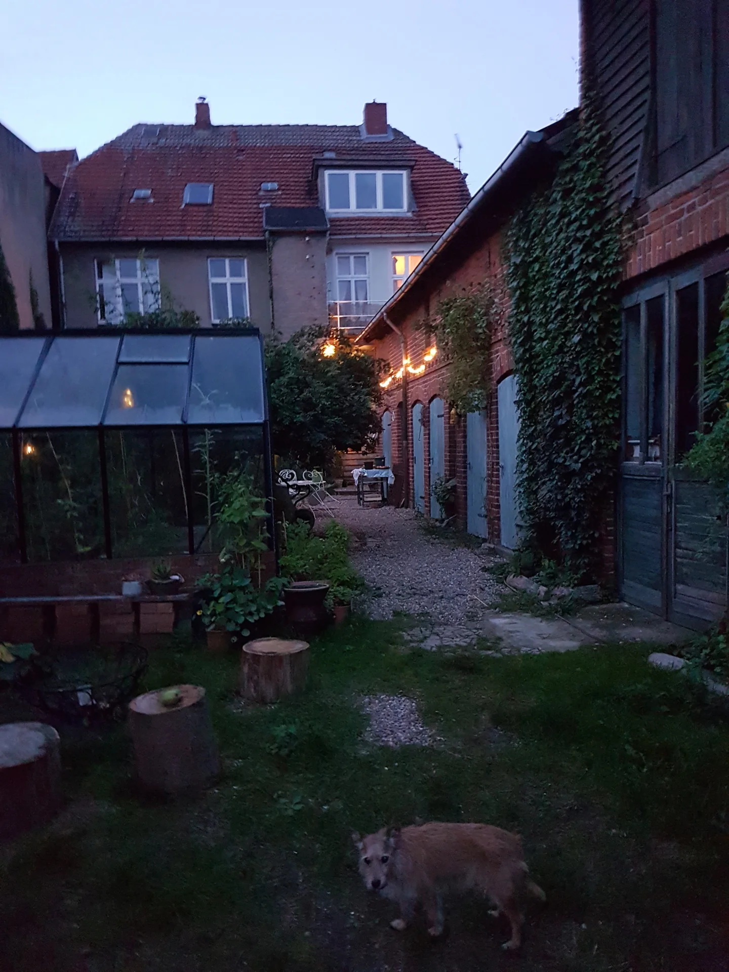 Foto der Galerie: Impressionen aus dem Chapeau vert