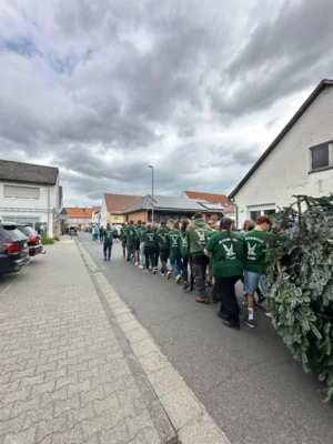 Vorschaubild: Baum stellen Kerwesamstag