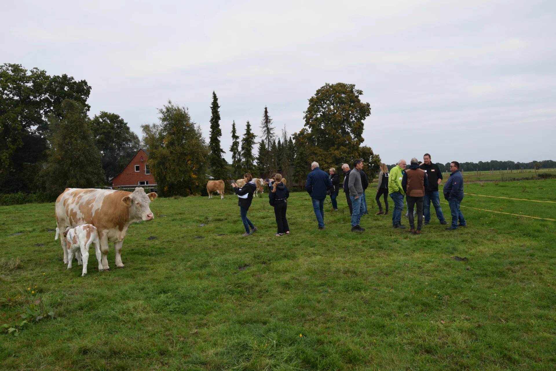 Foto der Galerie: Bundesrassetreffen 2025