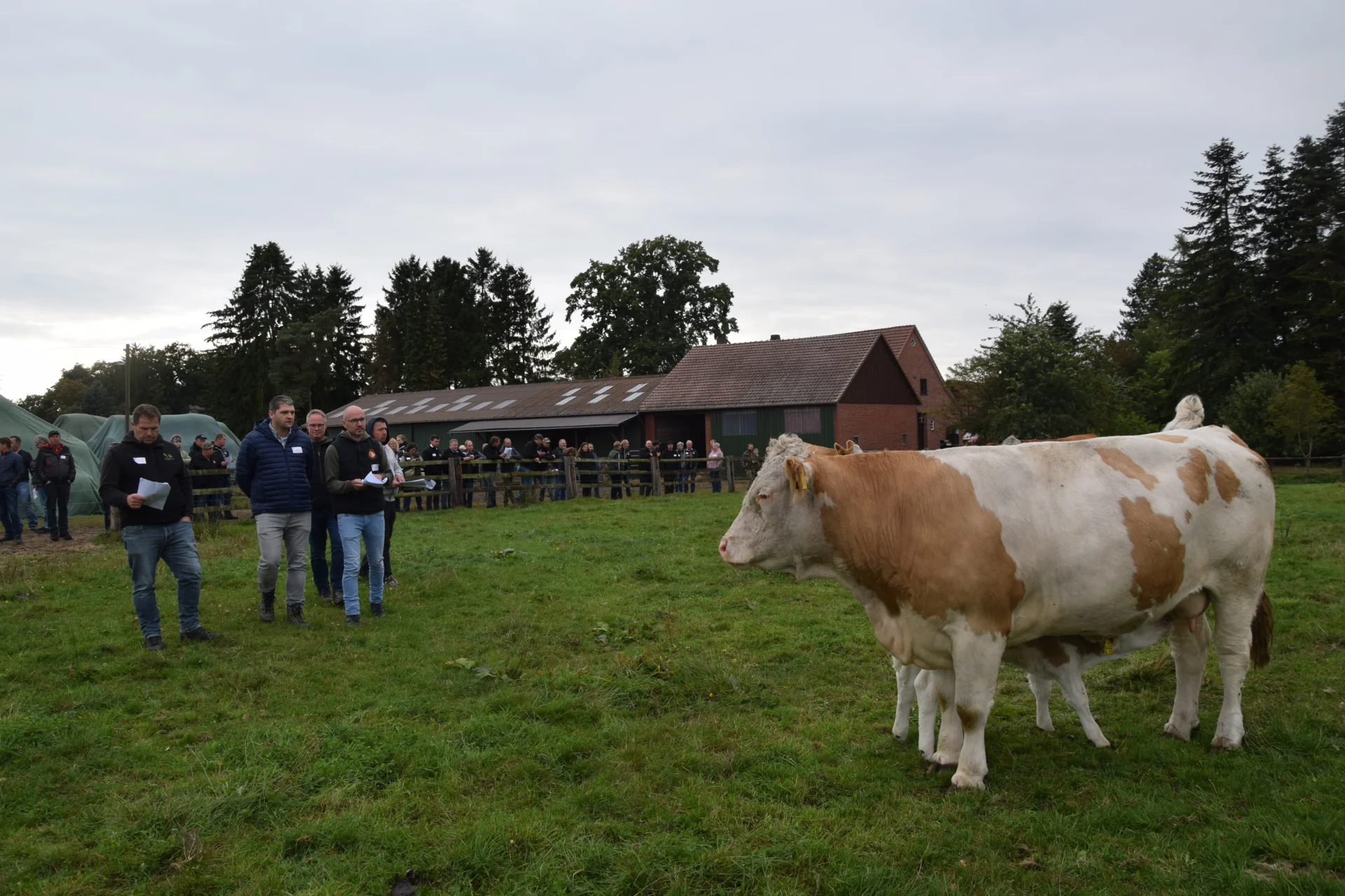 Foto der Galerie: Bundesrassetreffen 2025