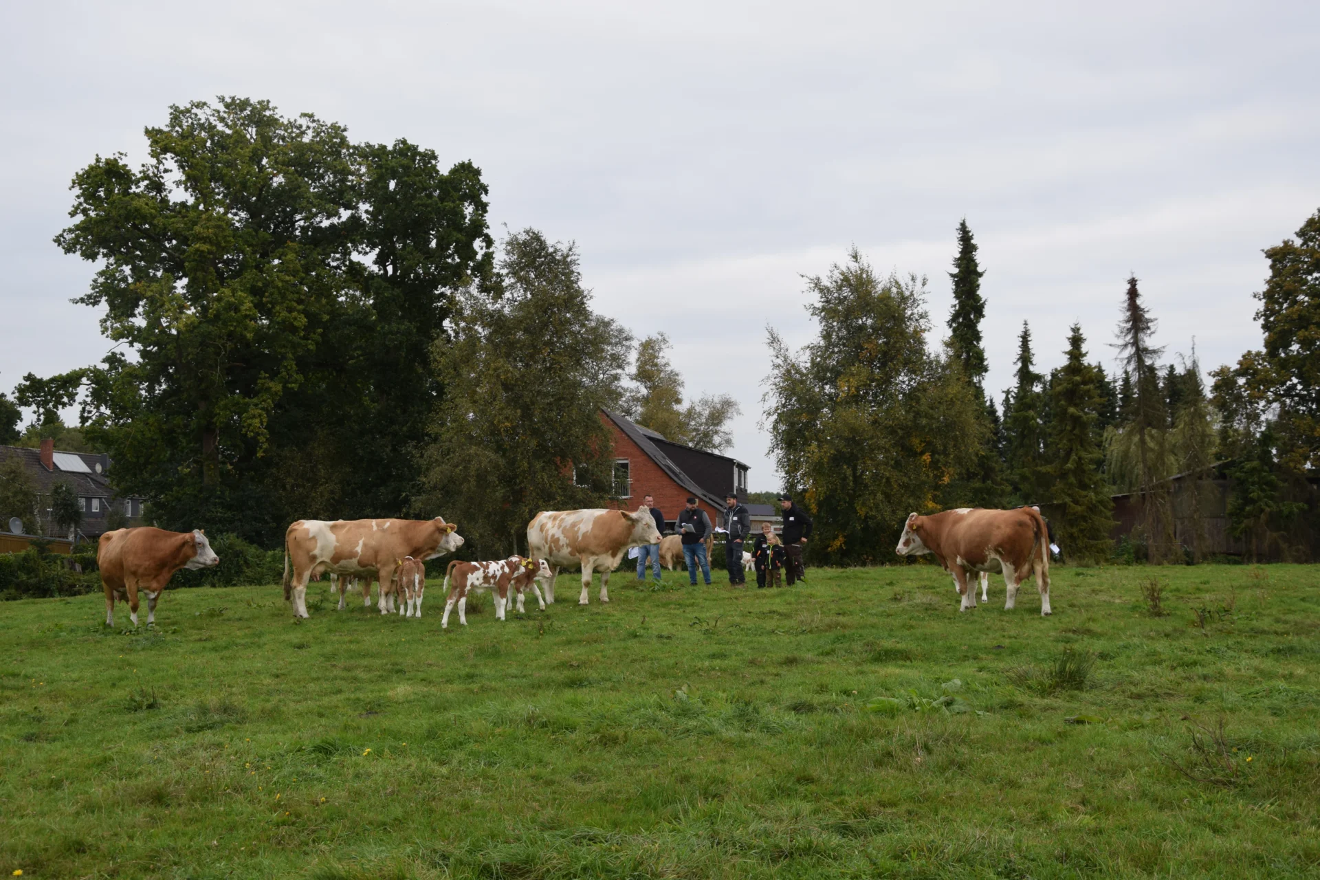 Foto der Galerie: Bundesrassetreffen 2025
