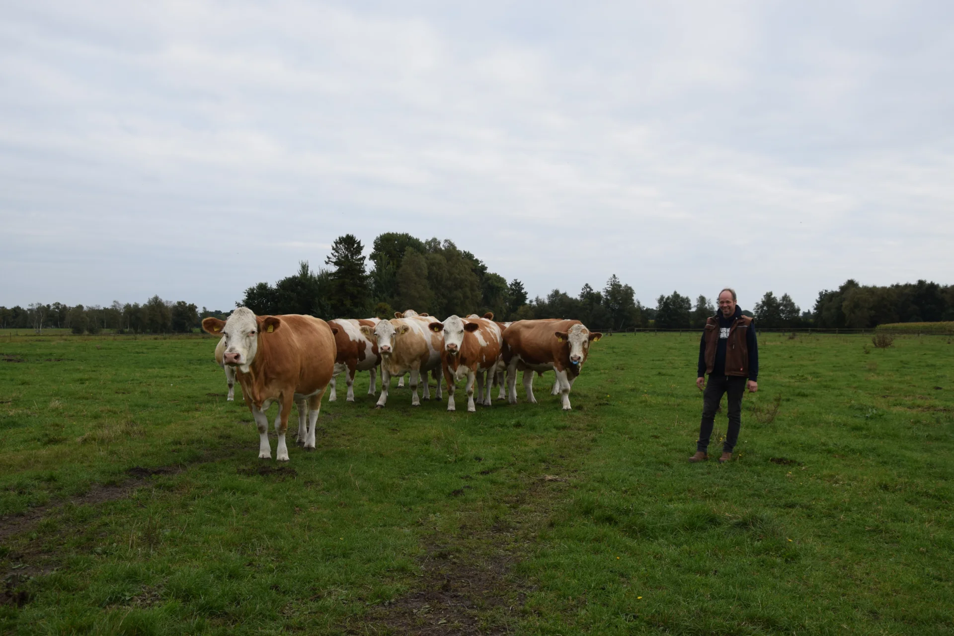 Foto der Galerie: Bundesrassetreffen 2025