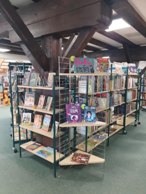 Vorschaubild: Wir durften gannz alleine durch diese wundervollen Bücherregale stöbern.