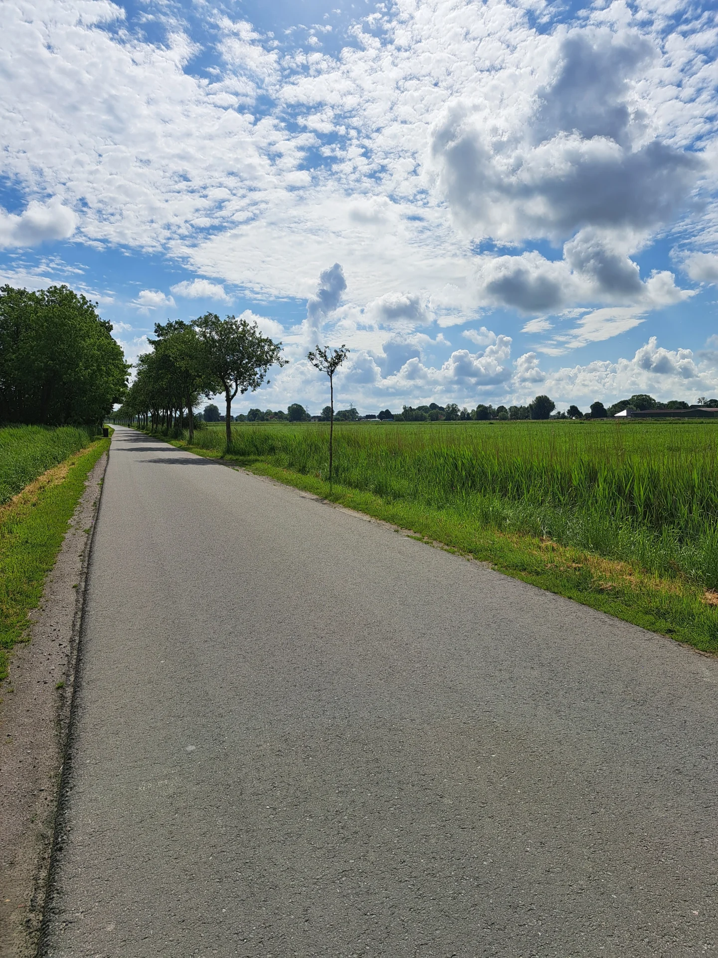 Bild: Mühlenweg