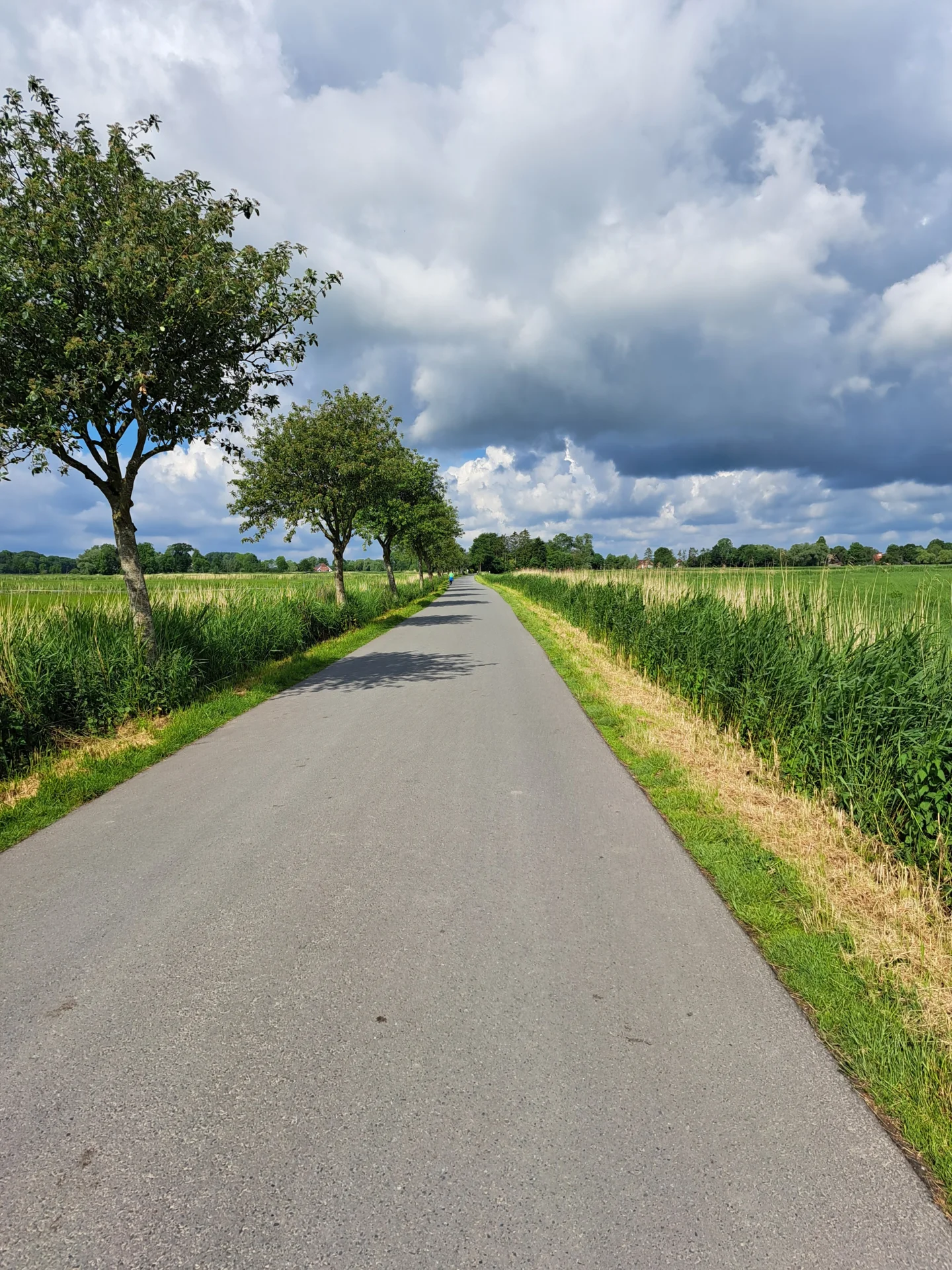 Bild: Mühlenweg