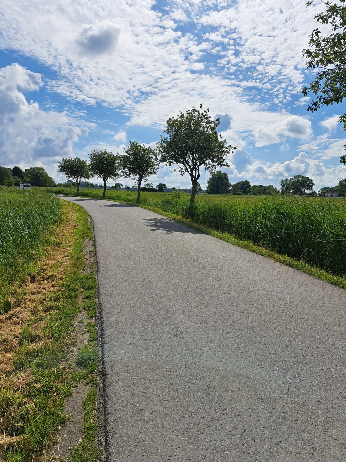 Bild: Mühlenweg vor Doppel-S Kurve