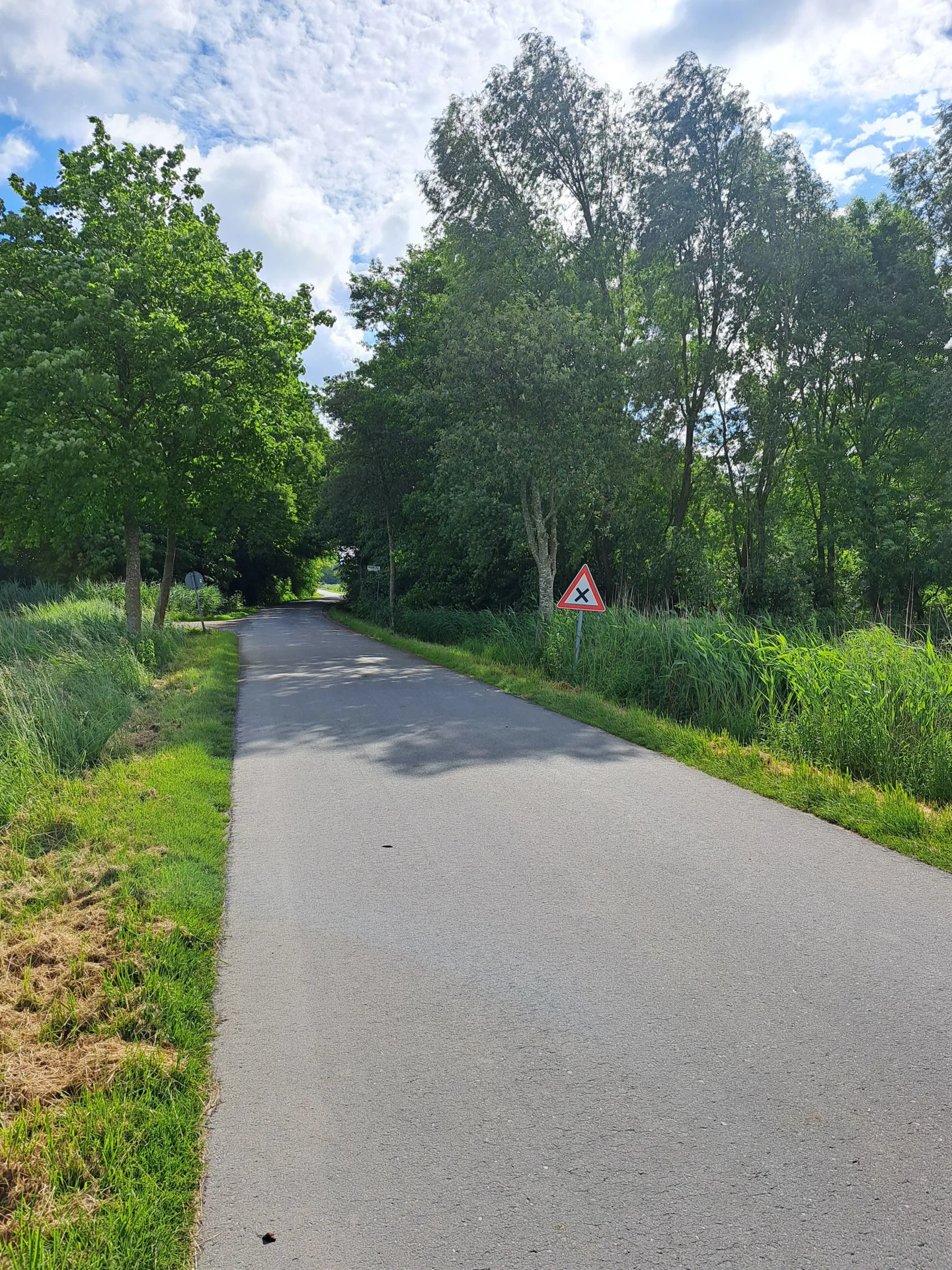 Bild: Mühlenweg nach Doppel S Kurve vorausschauend