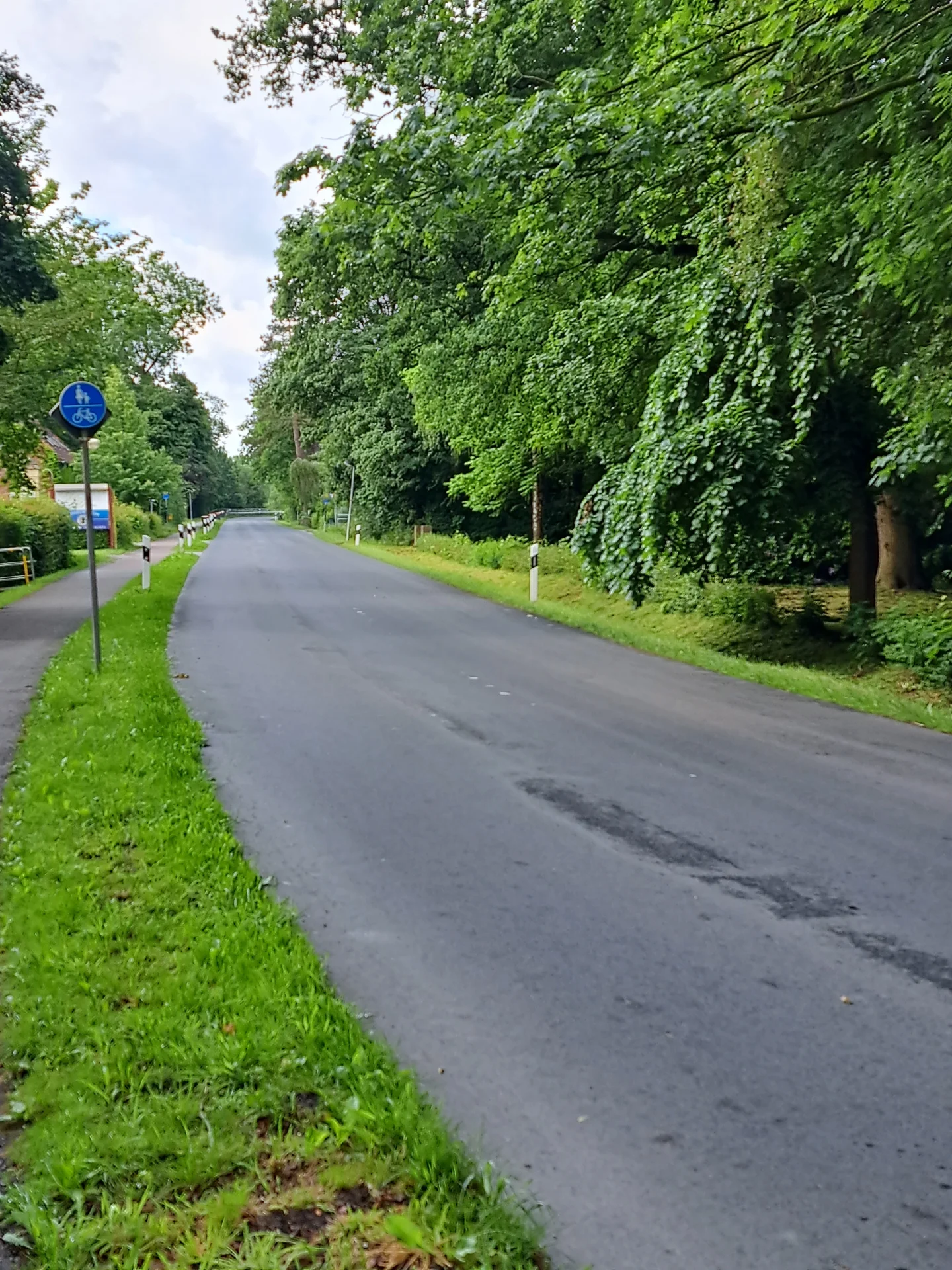 Bild: Blick auf Kurve aus Gödens Richtung Schloss (nur für Einzelmeisterschaften)