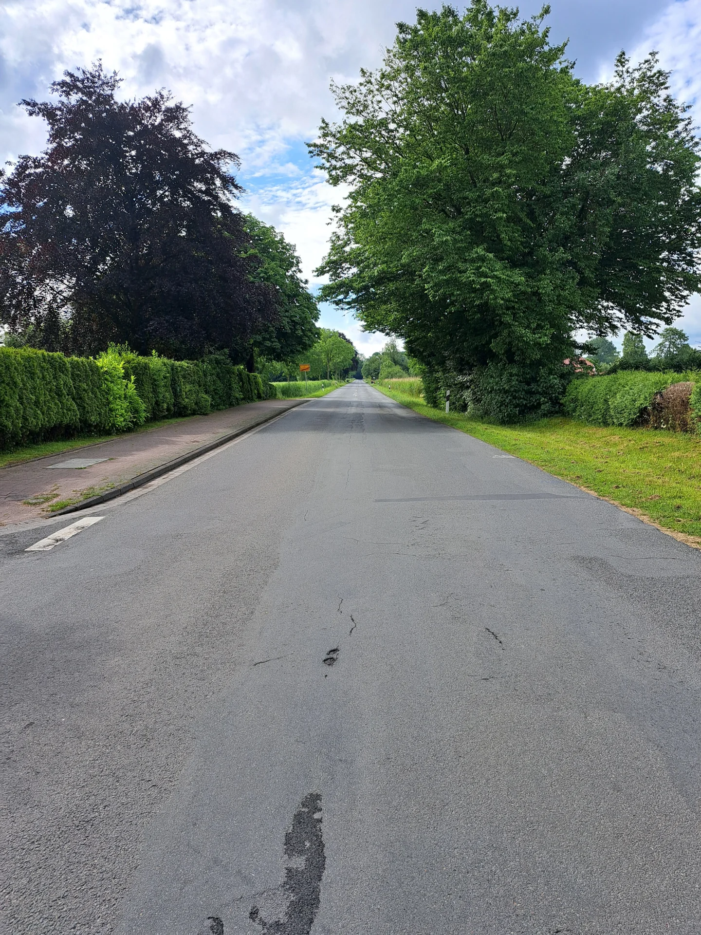 Bild: Blick von Dykhausen nach Gödens , Aufnahme aus Mühlenweg kommend