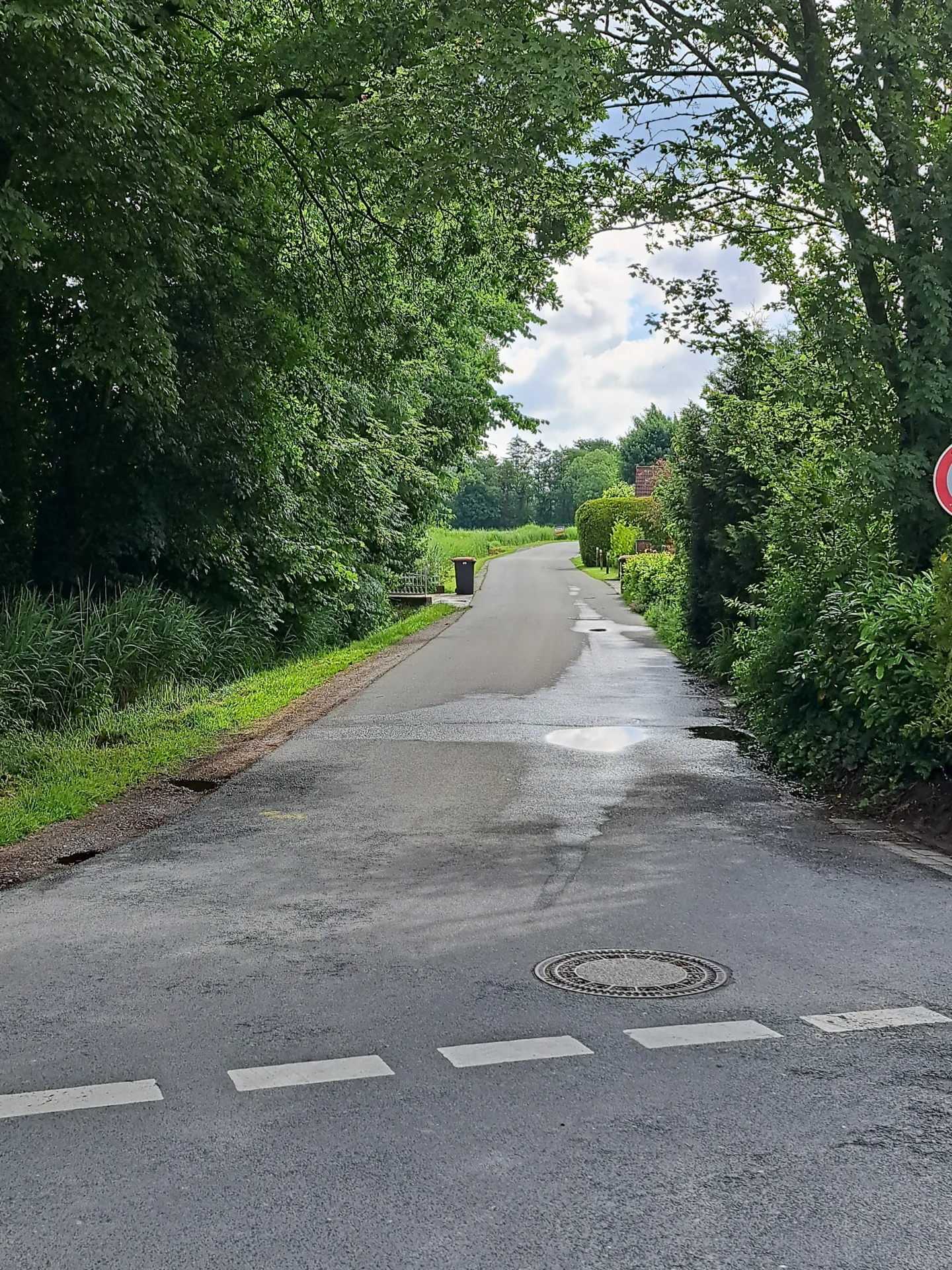 Bild: Eingang zum Mühlenweg nach Aufnahme