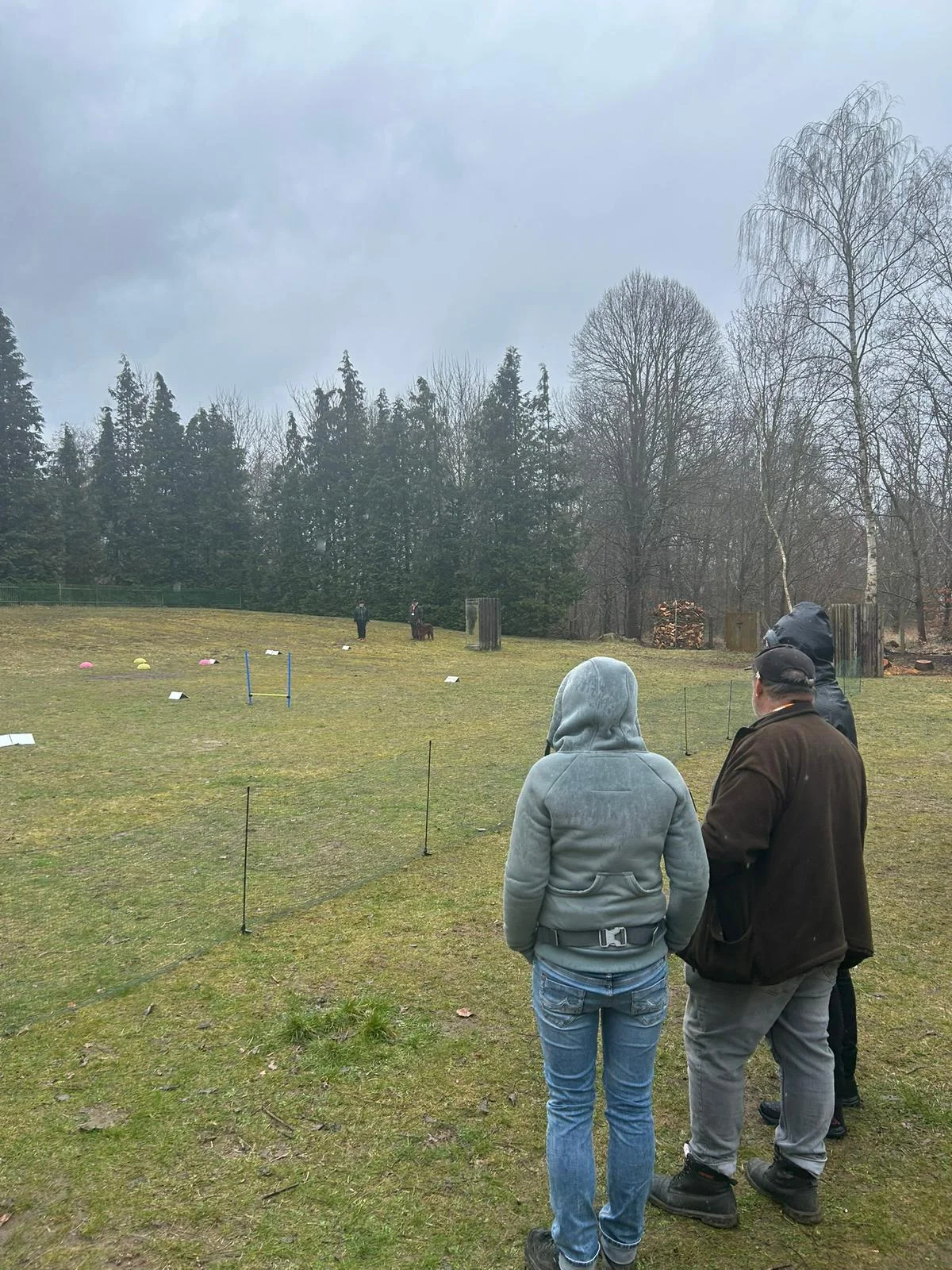 geneigte Zuschauer  (Bild vergr&ouml;&szlig;ern)