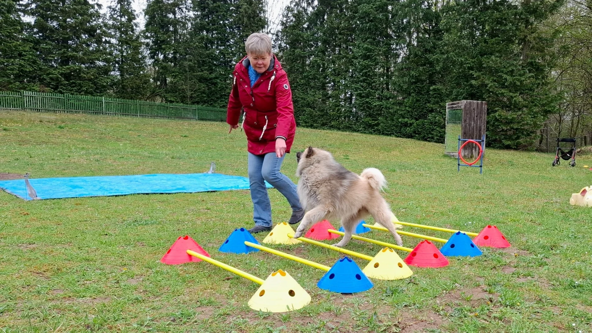 Koordination ist gefragt  (Bild vergr&ouml;&szlig;ern)