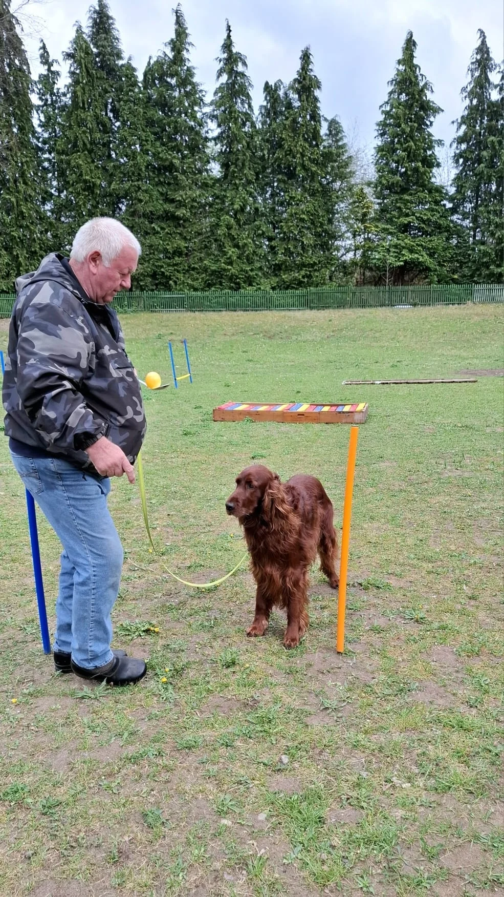 Was will Herrchen nur?  (Bild vergr&ouml;&szlig;ern)