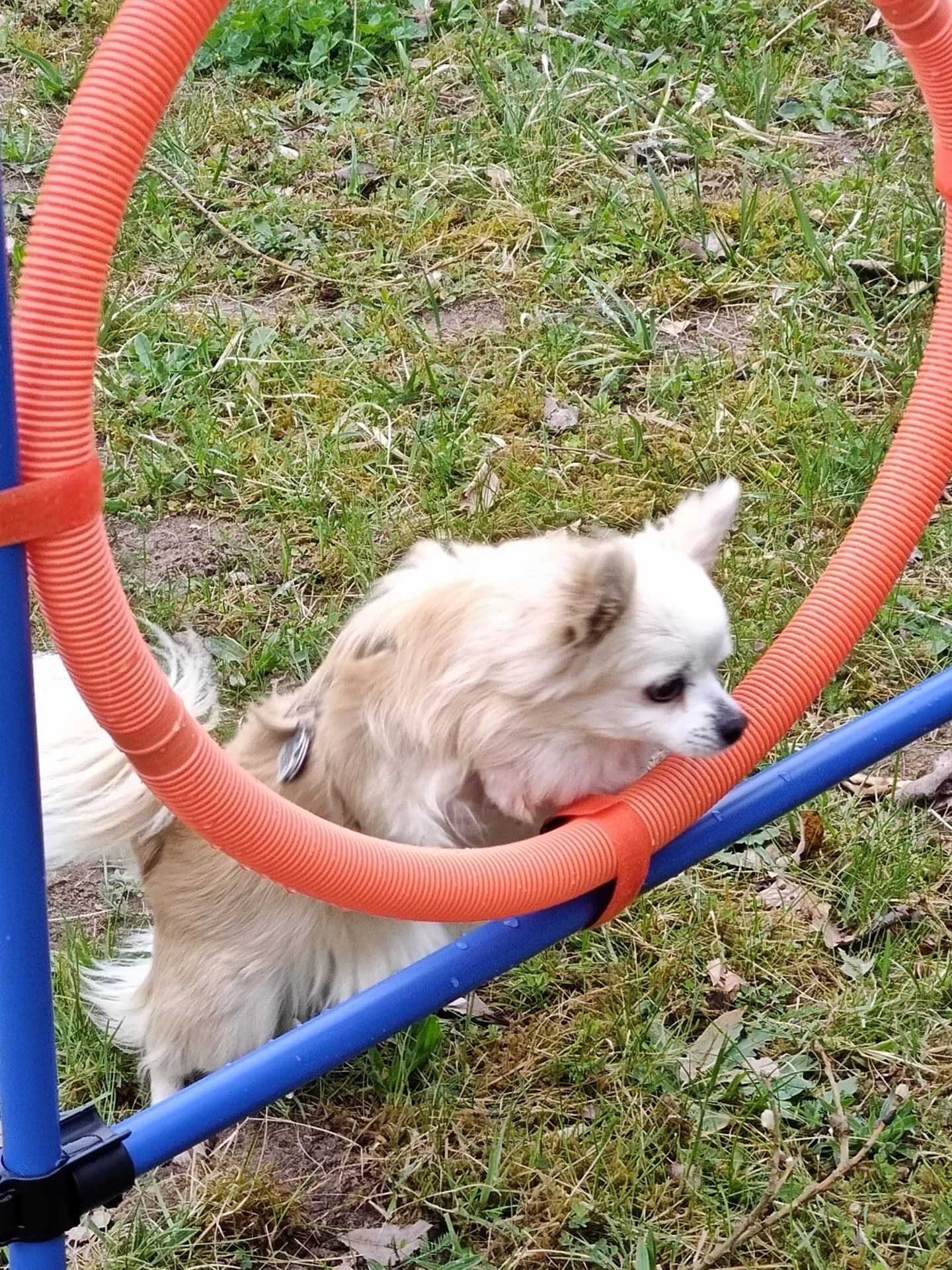 Na ich auf jeden Fall!  (Bild vergr&ouml;&szlig;ern)