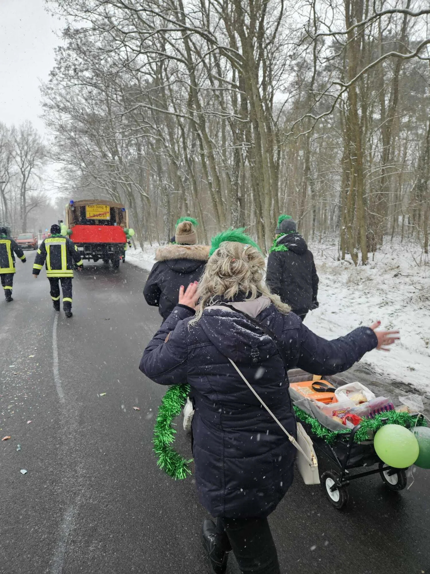 Foto der Galerie: Drebkauer Rosenmontagsumzug 2026