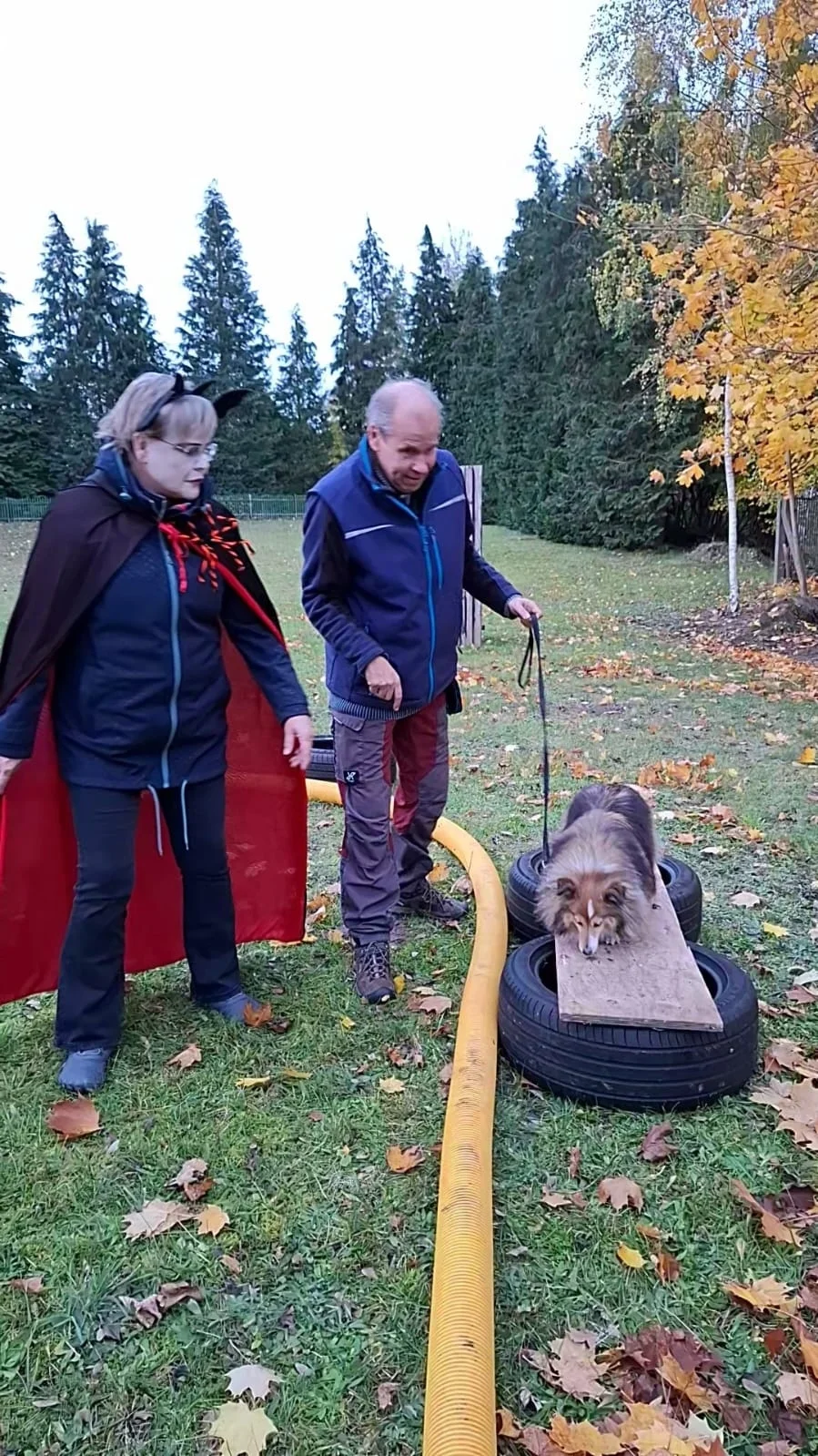 ...  (Bild vergr&ouml;&szlig;ern)
