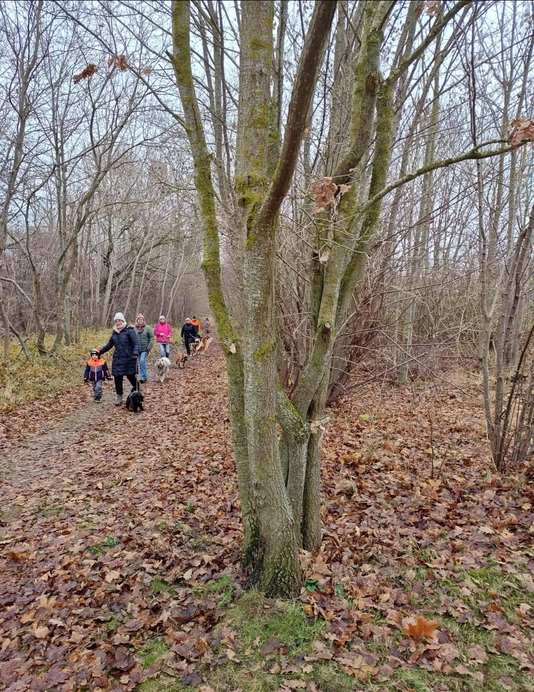 Weil der gemeinsame Spaziergang  (Bild vergr&ouml;&szlig;ern)