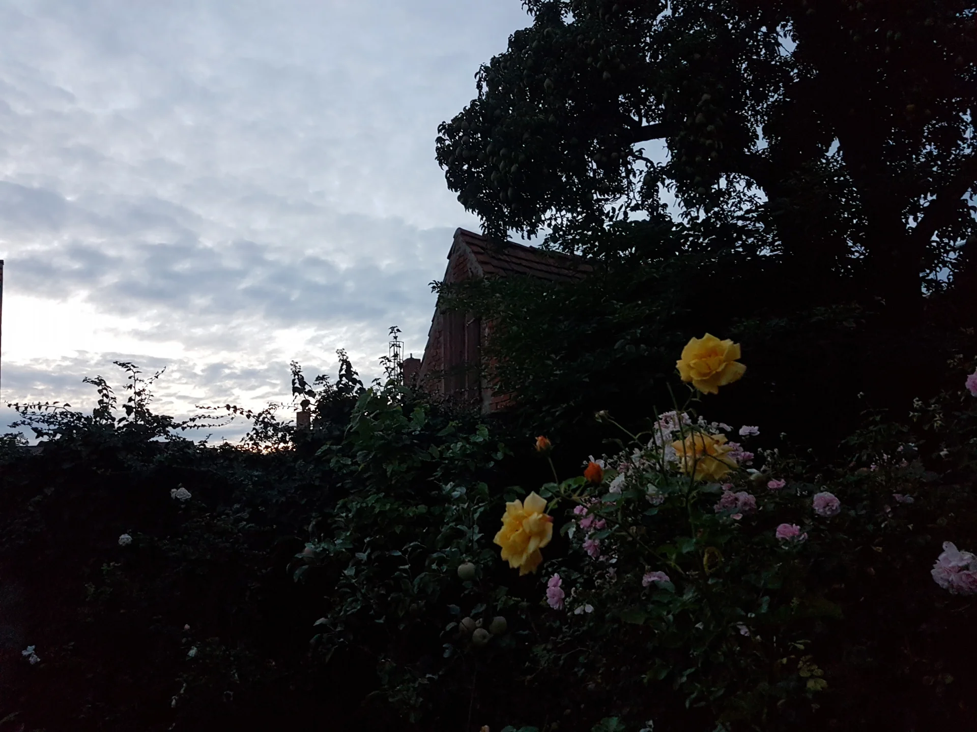 Zur Galerie: Events