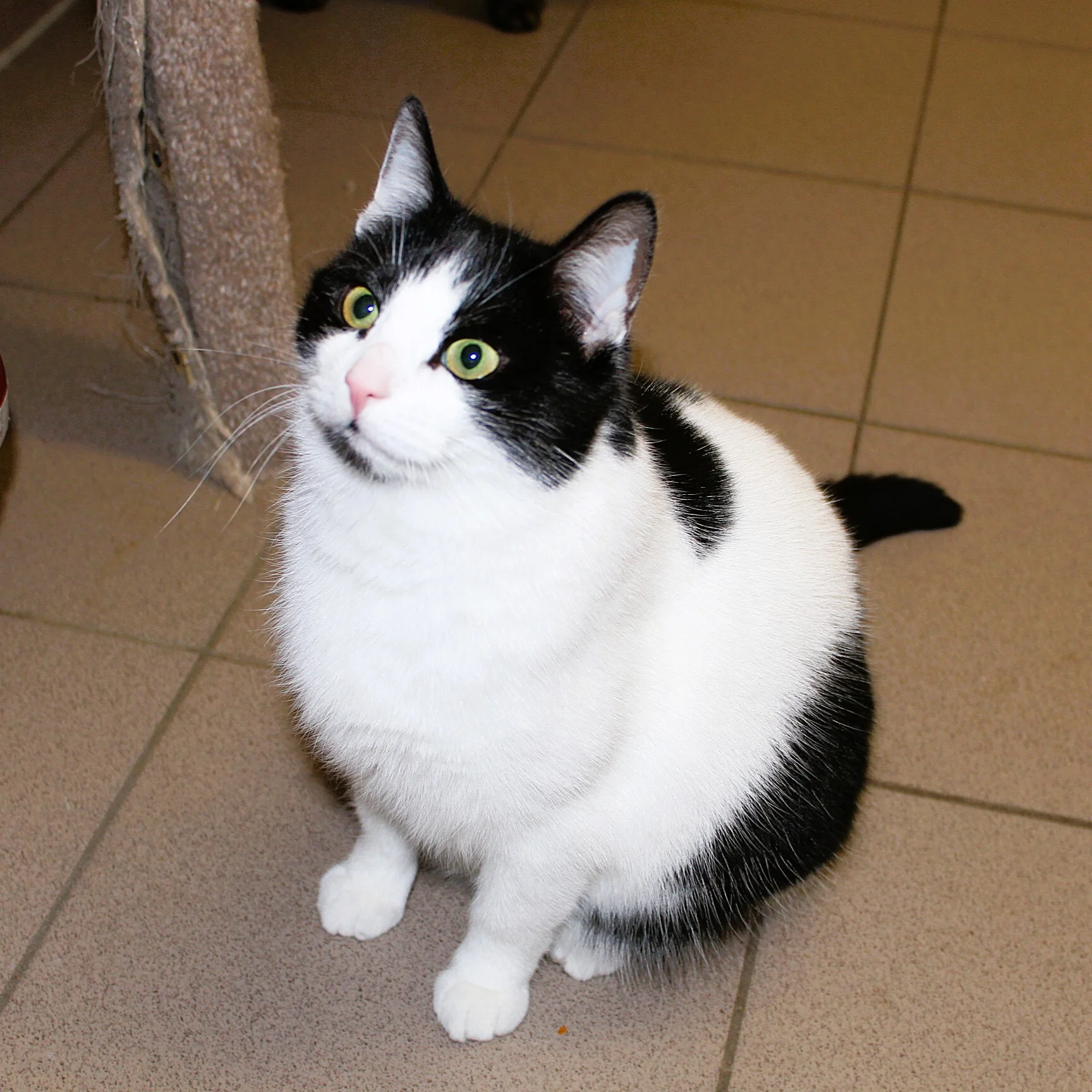 Foto der Galerie: Molly