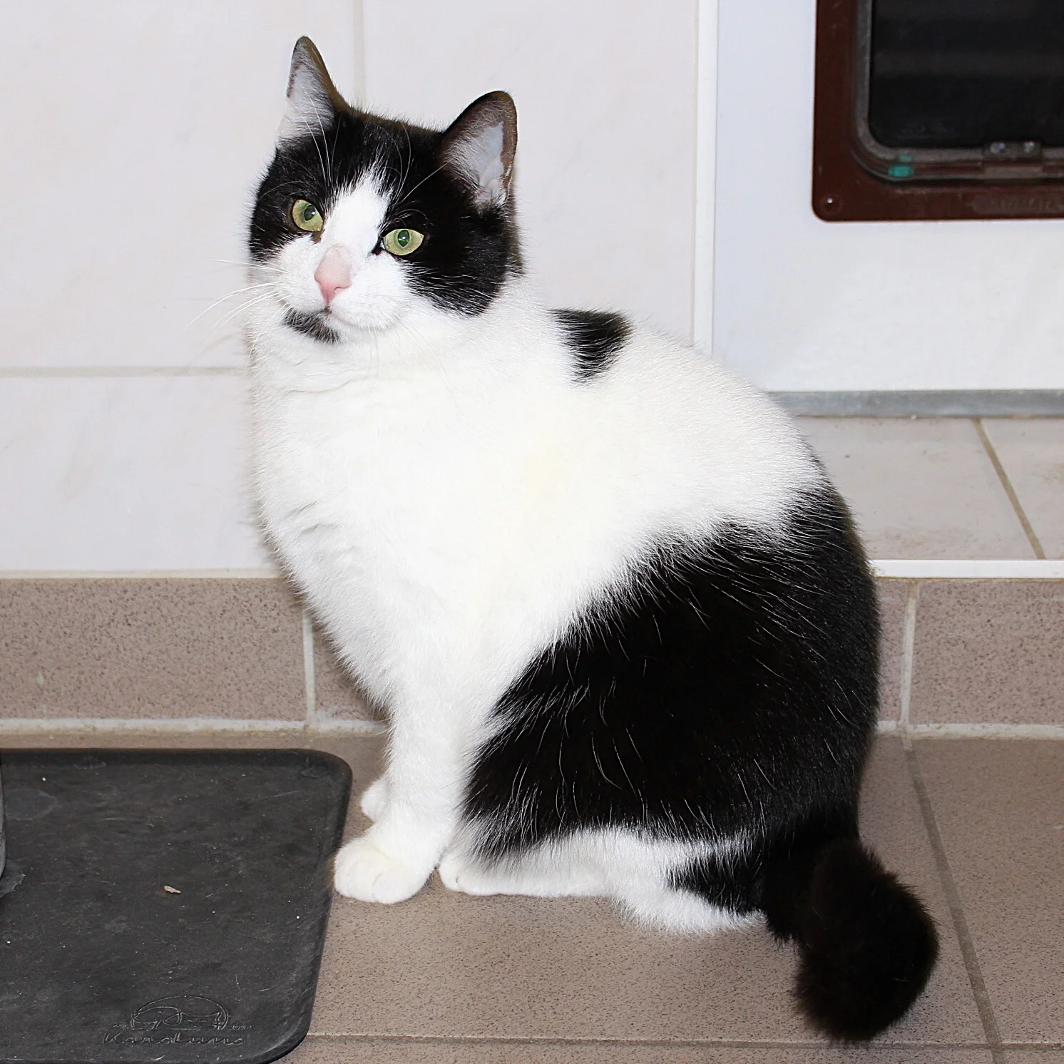 Foto der Galerie: Molly