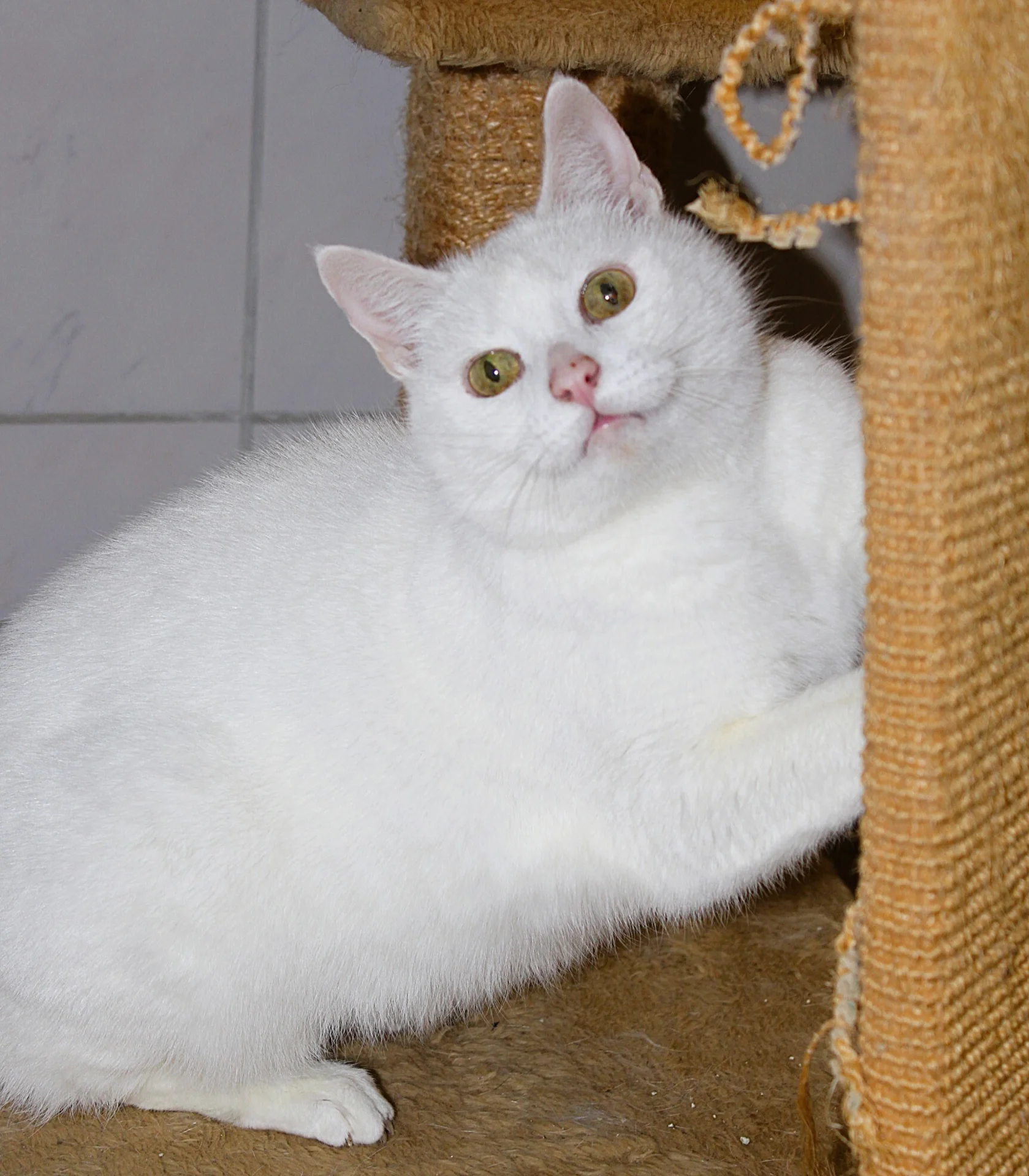Foto der Galerie: Gracie