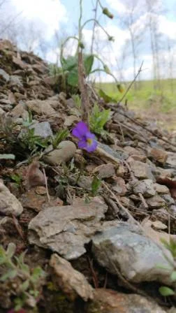 Foto der Galerie: Bergwerk 2021