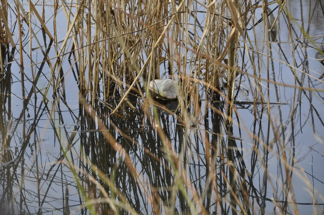 05 DSC3136  (Bild vergr&ouml;&szlig;ern)