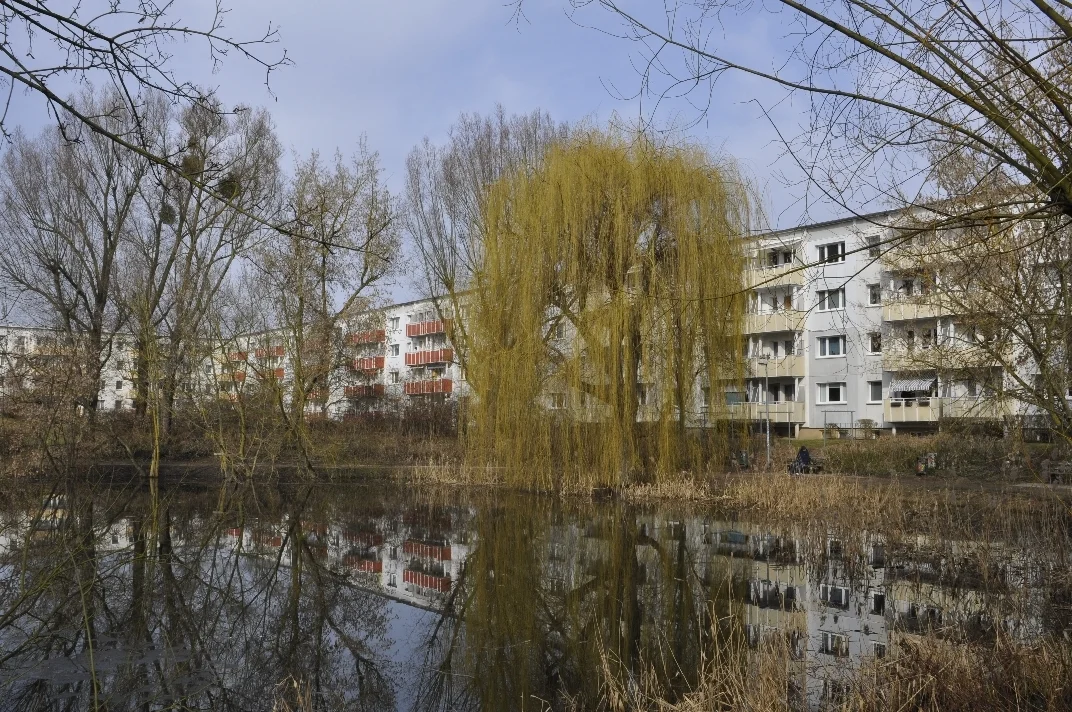 05 DSC3141  (Bild vergr&ouml;&szlig;ern)
